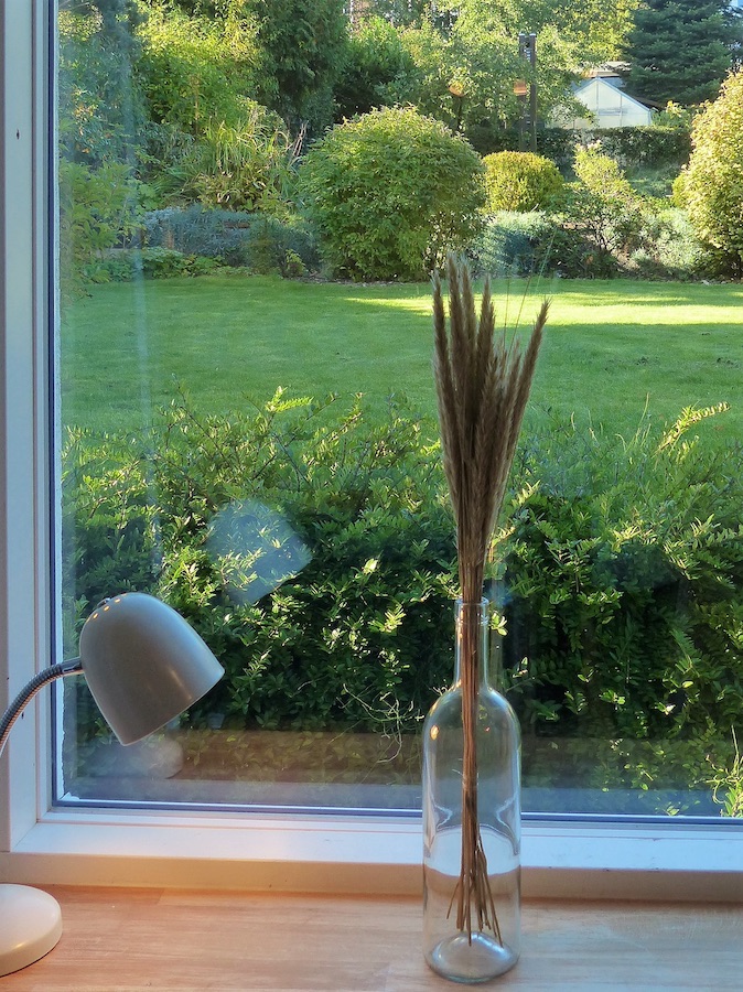 placeholder image-sq